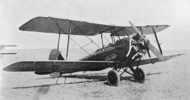 Caproni Ca.100