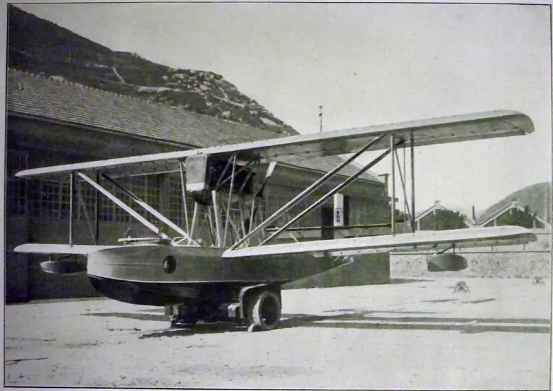 Piaggio P.6