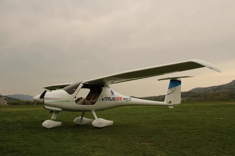 Pipistrel Virus