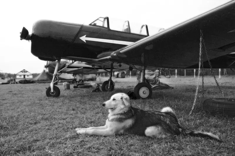 Yakovlev Yak-18